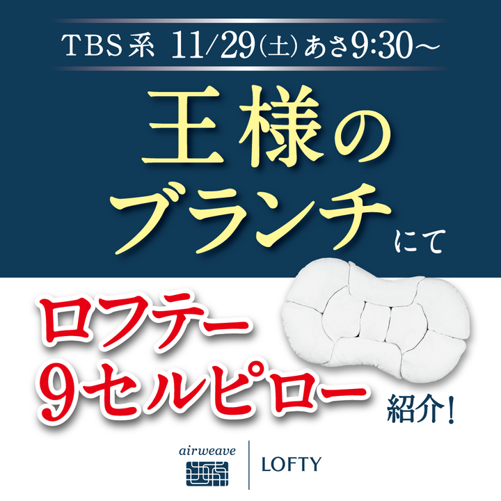 ９セルピロー クッションファイバー×エアファイバー&reg;